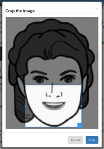 Image showing how to modify the cropping area