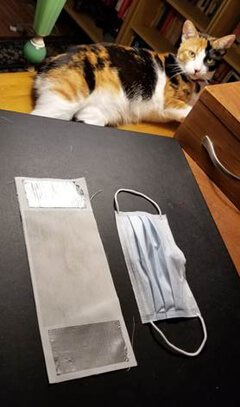 Image of Jack Gillis' cat, Ruby, relaxaing and pretending to help