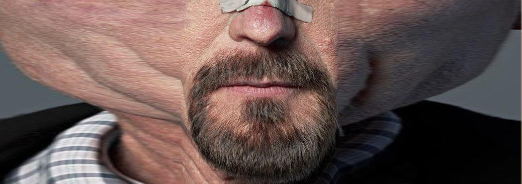 Bryan Cranston's stretched selfie
