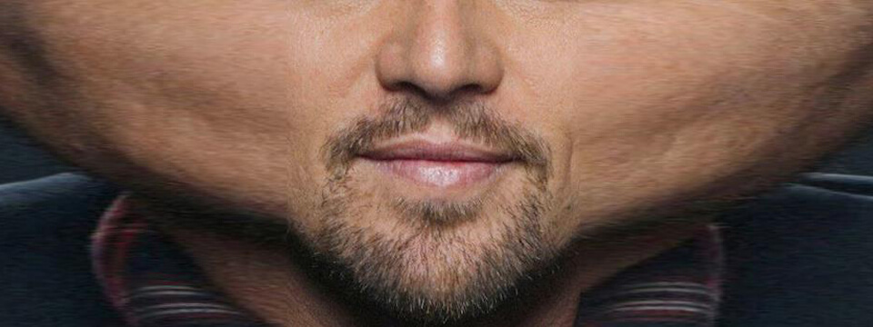 Leonardo DiCaprio's stretched selfie